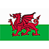 Wales U18