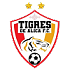 CD Tigres De Alica