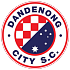 Dandenong City U23