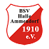 BSV Halle-Ammendorf