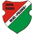 Polonia Sroda Slaska