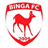 Binga FC