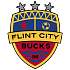 Flint City Bucks