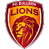 Bulleen Lions