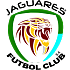 Jaguares