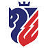 FC Botosani